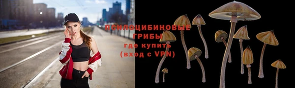 метадон Медвежьегорск