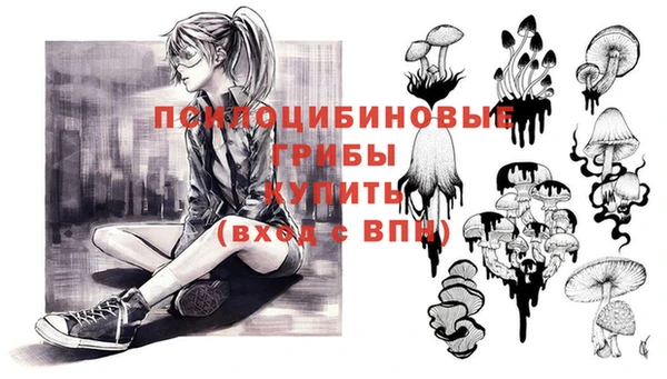 a pvp Майский