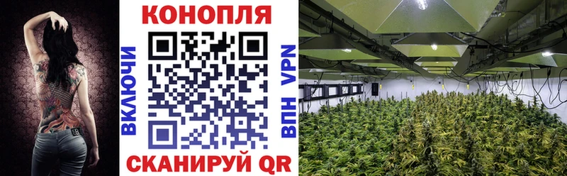 Марихуана индика  Купить закладки  Невьянск 